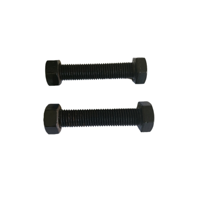 益莘 六角头发黑螺栓 M12*100mm 套