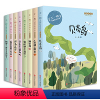 王一梅飞翔经典童话(全8册) [正版]王一梅童话系列全套8册 乌鸦的新衣注音版书籍 小学生一二三年级阅读课外书必读 蓝狐