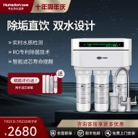 汉斯顿/Hunson家用厨下直饮RO反渗透净水器净水机1503 双膜双水直饮 滤芯更换提醒