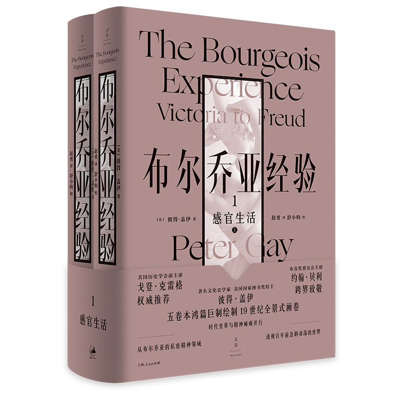 音像布尔乔亚经验(1感官生活上下)(精)(美)彼得·盖伊著