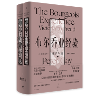 音像布尔乔亚经验(1感官生活上下)(精)(美)彼得·盖伊著