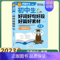 初中生好词好句好段好素材 初中通用 [正版]2023新版小雨作文学霸作文初中生作文议论文论点论据论证分类作文好词好句好段