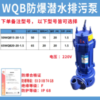 防爆潜水泵50WQB15-20-1.5(220V)