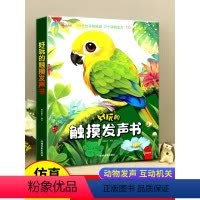 触摸发声书 [正版]好玩的触摸发声书 婴儿早教宝宝会发生声的触摸书绘本0到3岁儿童书籍三岁故事书动物百科图书翻翻书点读书