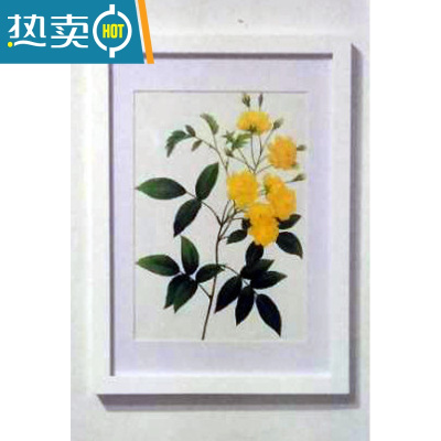 敬平实木相框挂墙16寸18 20 24 30 32创意8开4k A3拼图素描画框装裱a4 白色 画框[33*33cm]