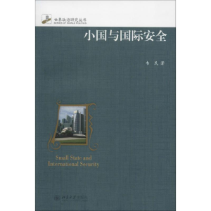 [M]小国与国际安全-9787301266052
