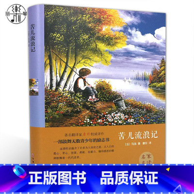 [正版]精装全译本 苦儿流浪记 马洛 世界经典文学小说名著原著原版全中文完整版青少版寒假世界名著 带插图 书籍