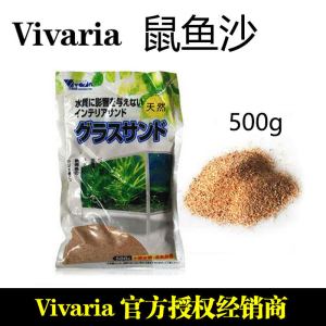 鱼缸造景底砂菲律宾沙珊瑚沙黑金沙鼠鱼龟缸装饰溪白沙石子