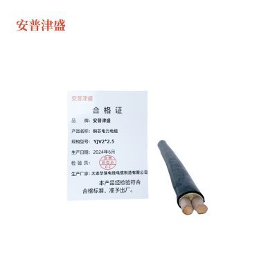 安普津盛 铜芯电力电缆 YJV2*2.5mm 0.6/1kv 米