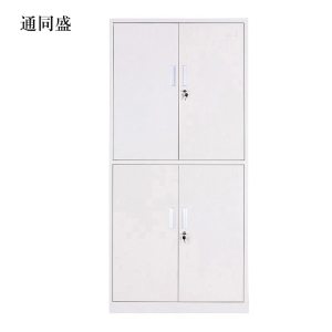通同盛钢制资料柜档案柜财务凭证柜带锁储物柜铁皮柜书柜通双节文件柜
