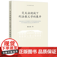 2024新书 交叉法视域下刑法教义学的展开 徐万龙 著 法律出版社