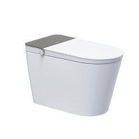 金牌卫浴GOLD 高颜值家用 低水压全智能马桶 KA(不含安装)RF3217Z