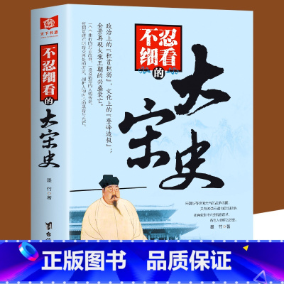 [正版] 不忍细看的大宋史 中国古代文学历史人物故事普及读物精选小说大宋史大汉史大明史大清史元朝史大唐史系列书