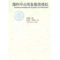 正版新书]爆炸冲出现象数值模拟杨秀敏.9787312027130