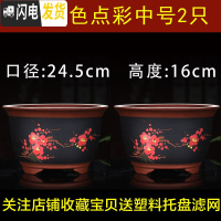 三维工匠紫砂花盆大号君子兰花盆特大号多肉花盆室内阳台简约陶瓷花盆 白色A01点彩中号2只 如图花盆容器