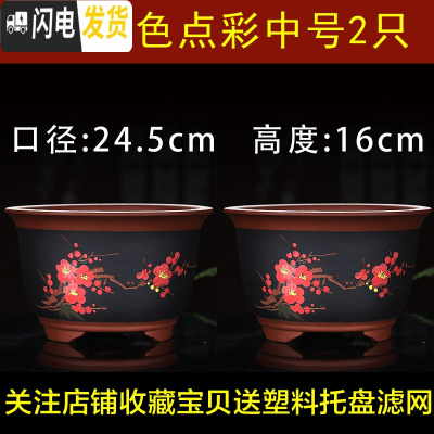 三维工匠紫砂花盆大号君子兰花盆特大号多肉花盆室内阳台简约陶瓷花盆 白色A01点彩中号2只 如图花盆容器