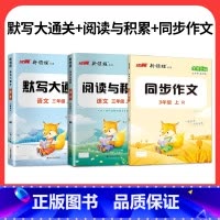 读写3本全套:阅读与积累+同步作文+默写大通关 三年级上 [正版]2024年新版新领程阅读与积累三年级四年级五年级六年级