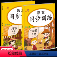 [正版]二年级上下册语文同步训练人教版RJ课堂同步练习册课后作业本2年级上学期下学期一课一练两本套装乐学熊小学生语文课
