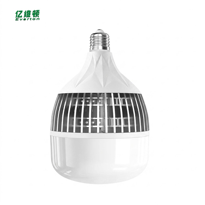 亿维顿 LED灯泡 100W/个