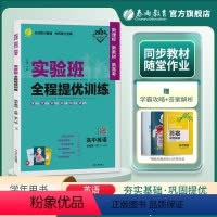 英语 必修第一册 [正版]2023新版 高中实验班全程提优训练英语必修第一册译林版 英语必修1YL版同步训练提基础思维拓