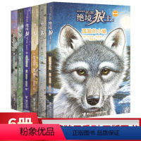 [正版]孤独的小狼/绝境狼王系列全套6册 动物小说童书青少年少儿读物10-15岁图书 课外书4-6年级儿童书籍星梯的召
