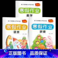 [全3册]幼小衔接寒假作业 [正版]幼小衔接数学语言拼音寒假预复习寒假作业幼小衔接一日一练幼儿园学前班中班大班练习册全套