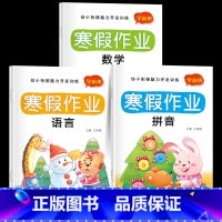 [全3册]幼小衔接寒假作业 [正版]幼小衔接数学语言拼音寒假预复习寒假作业幼小衔接一日一练幼儿园学前班中班大班练习册全套