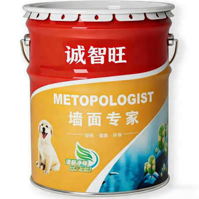 诚智旺 高分子纳米涂层350*200*400金属色 2kg/组