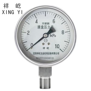 祥屹 不锈钢膜盒压力表检测定制型 YE100BF 块