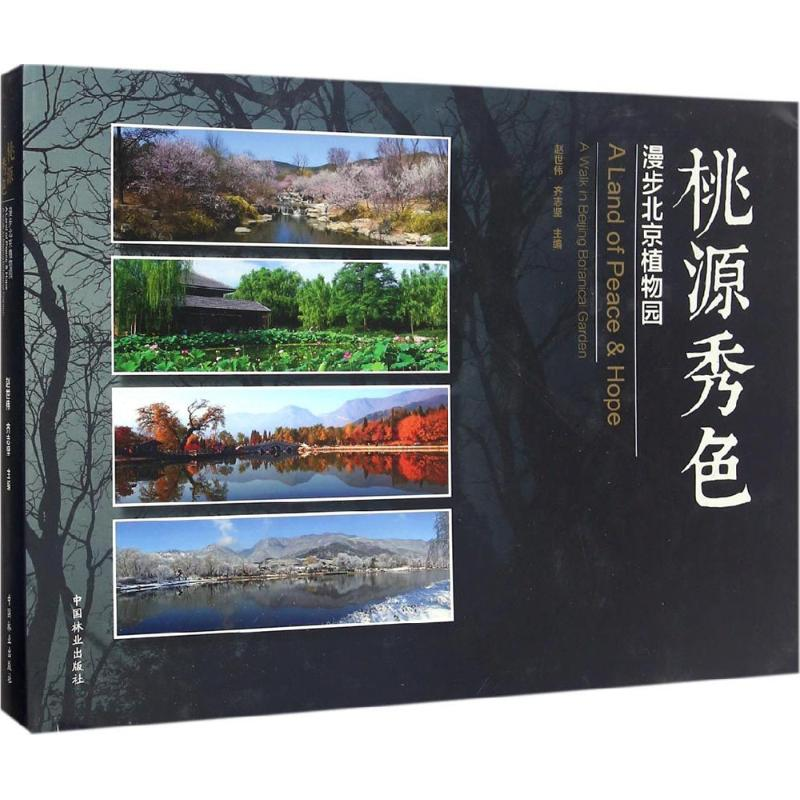 音像桃源秀色赵世伟,齐志坚 主编