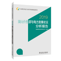 正版新书]国内外能源与电力发展状况分析报告 2019国网能源研究
