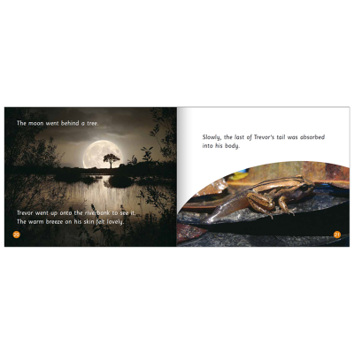 [M]动物成长故事英语进阶有声读物 第6级上(全6册)-9787521334678