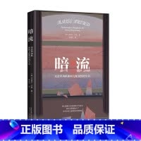 默认分册名 [正版] 暗流 :无意识动机如何支配我们的生活 迈克尔·卡恩著 广西师范大学出版社L