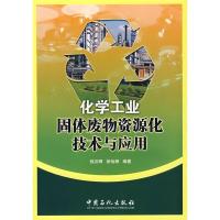 正版新书]化学工业固体废物资源化技术与应用钱汉卿,徐怡珊9787