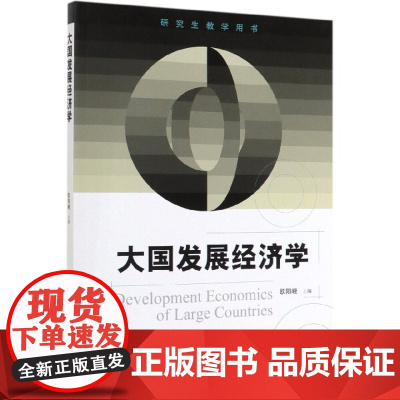 大国发展经济学(研究生教学用书)