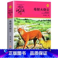 母豺火烧云 [正版]母豺火烧云升级版动物小说沈石溪品藏书系小学三四五六年级课外阅读书籍动物小说大王品藏书系生课外阅读适用