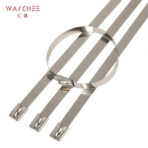 汇继 不锈钢扎带 12*1200mm/个