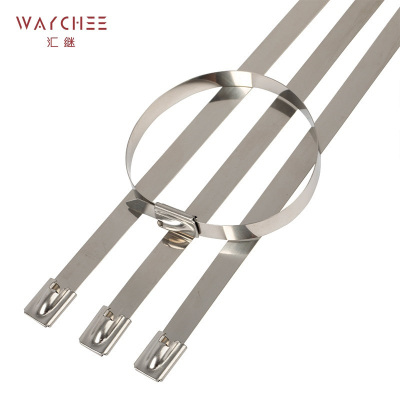 汇继 不锈钢扎带 12*1200mm/个