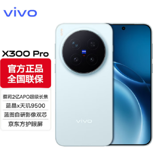 vivo X300 Pro 自在蓝 12GB+256GB 蓝晶×天玑9500芯 大电池 90W快充 支持无线充电 蔡司超级潜望长焦 拍照 AI手机