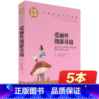 [正版]爱丽丝漫游奇境 名家名译 漫游奇境记漫游仙境三年级四年级书奇遇记 课外书小学生必读图书读物书籍阅读