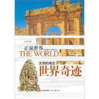 正版新书]文明的瑰宝世界奇迹-正说世界付娜9787538737790