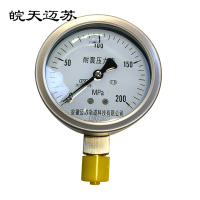 皖天迈苏YN-100B耐震压力表1.6级