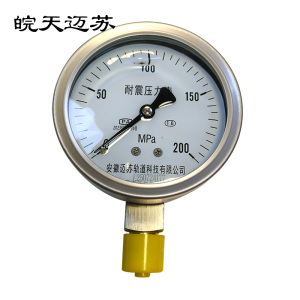 皖天迈苏 耐震压力表 YN-100B 块