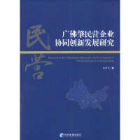 音像广肇民营企业协同创新发展研究王子飞 著