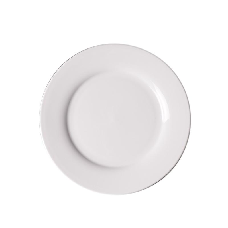 海铁科技骨碟6英寸/个