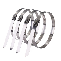 好企来 不锈钢扎带 BZ-0119 8*1000mm 100条/包