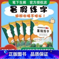 暑假练字 同步生字摹写本 四升五 [正版]2024秋笔下生辉写好规范汉字小学语文字帖暑假练字同步生字摹写本一二三四五六年