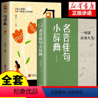 [全套2册]名言佳句+句子迷 [正版]抖音同款 名言佳句小辞典句子迷珍藏全集小词典格言警句感悟人生初中生高中生小学生名人