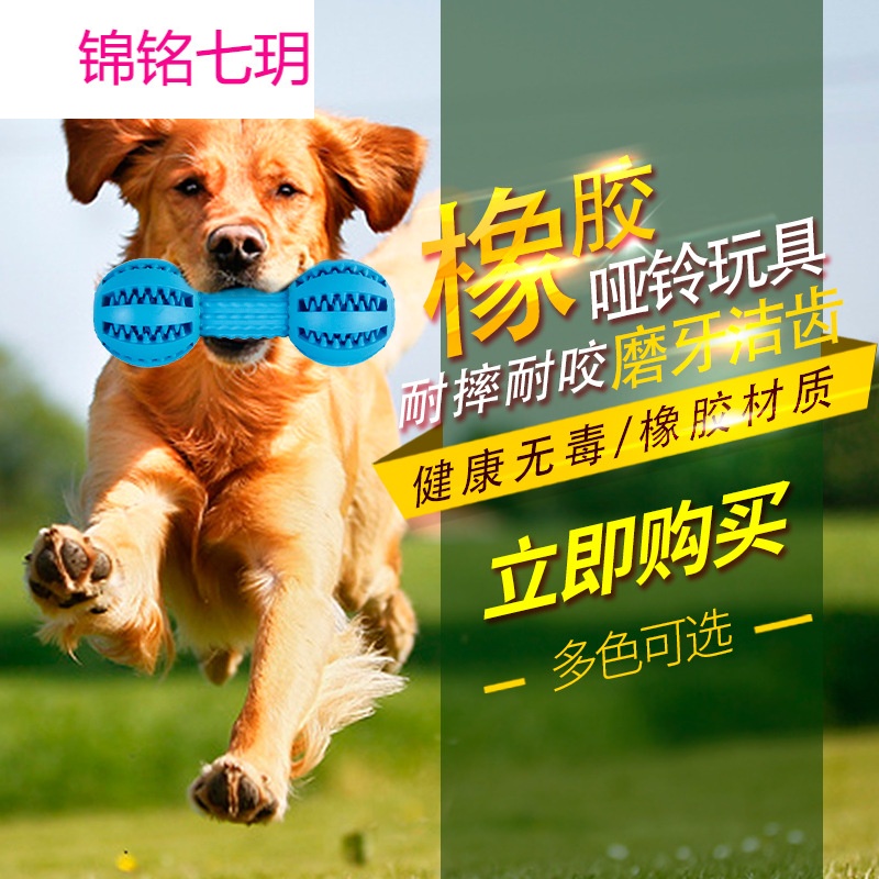 狗玩具橡胶哑铃球泰迪金毛磨牙宠物玩具德牧幼犬耐咬洁齿训练玩具