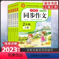 [套装5册]2-6年级上册 小学通用 [正版]2024新版同步作文上册下册RJ人教版二年级三年级四年级五年级六年级小学生